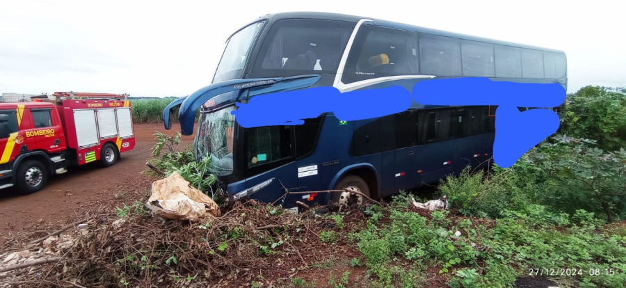 Ônibus sai da pista após motorista passar mal em rodovia 